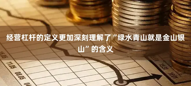 经营杠杆的定义更加深刻理解了“绿水青山就是金山银山”的含义