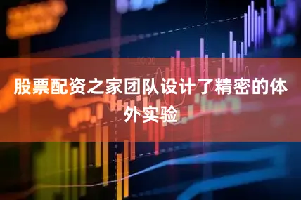 股票配资之家团队设计了精密的体外实验