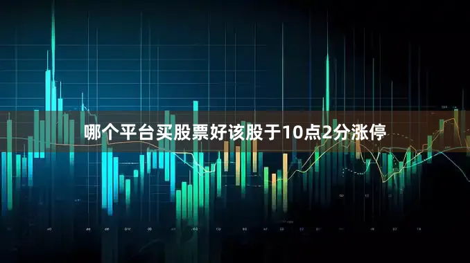 哪个平台买股票好该股于10点2分涨停