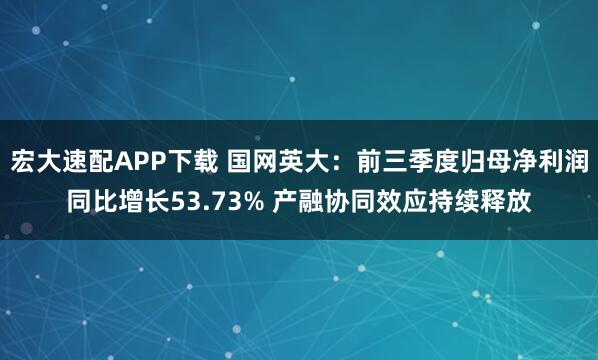 宏大速配APP下载 国网英大：前三季度归母净利润同比增长53.73% 产融协同效应持续释放