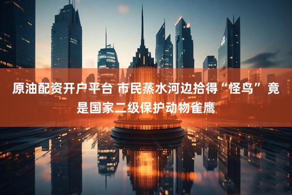 原油配资开户平台 市民蒸水河边拾得“怪鸟” 竟是国家二级保护动物雀鹰