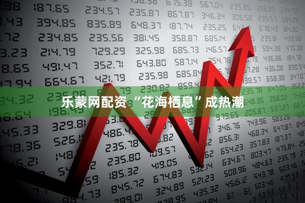乐蒙网配资 “花海栖息”成热潮
