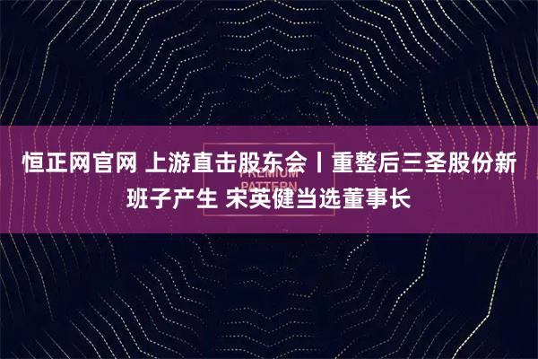 恒正网官网 上游直击股东会丨重整后三圣股份新班子产生 宋英健当选董事长