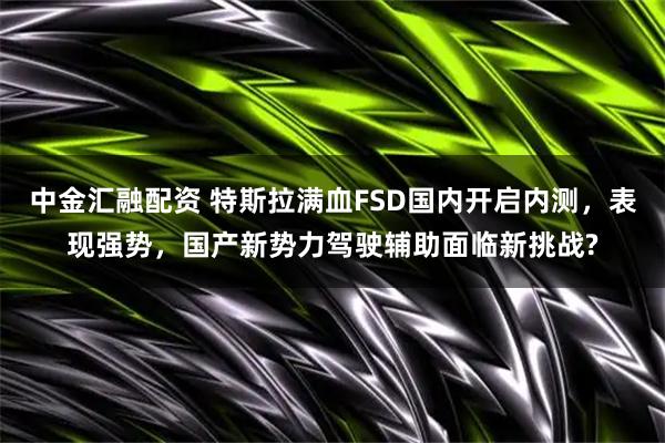 中金汇融配资 特斯拉满血FSD国内开启内测，表现强势，国产新势力驾驶辅助面临新挑战?