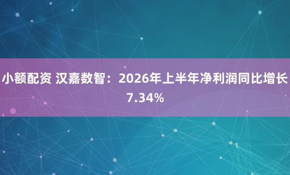小额配资 汉嘉数智：2026年上半年净利润同比增长7.34%